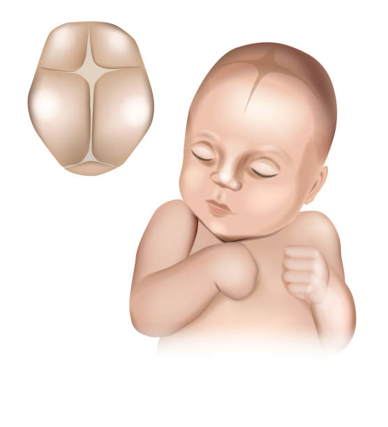 istockphoto-1336893356-612x612